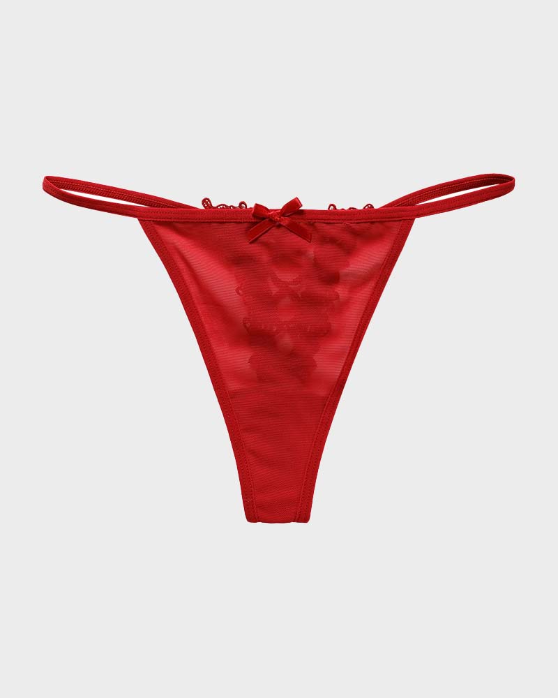 Lace-Trim Mesh V-String Panty